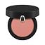 BLUSH COMPACT NEW