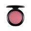 Pro Longwear Blush